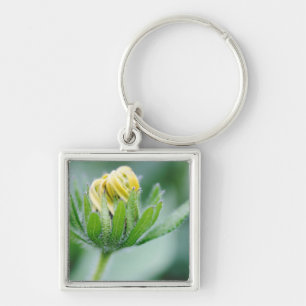 Blütenblume der Kegelblume Schlüsselanhänger