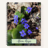Blütenblumen, hepatica notizblock (Vorderseite)
