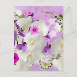 Blütenblüten Blume Weinberge Orchideen Pflanze Blü Postkarte