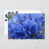 Blütenblütenblütenblüte (Vorne/Hinten)