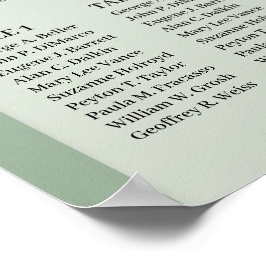 Blütenblütenblütenfeder Poster (Ecke)