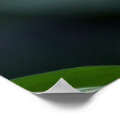 Blütenblütenpfropfen Poster (Ecke)