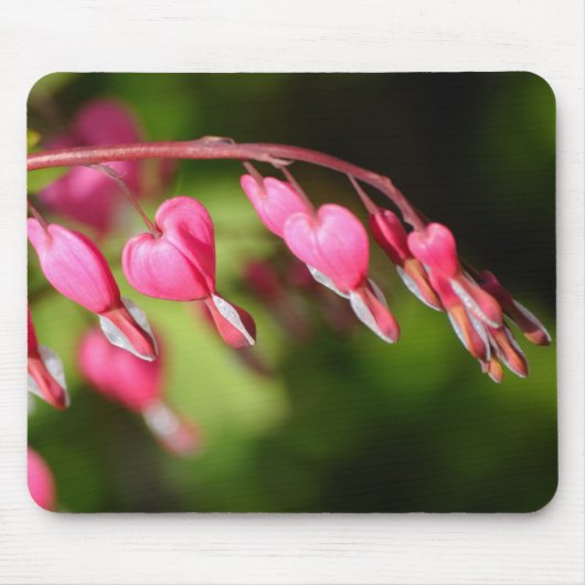 Blutende Herzen Blume auf grünem Hintergrund Mousepad (Vorne)