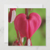 Blutende Herzen, die Einladungen Wedding sind (Rückseite)