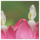 Blutende Herzen im Regen-Gewebe Stoff (Nahaufnahme)