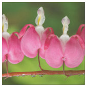 Blutende Herzen im Regen-Gewebe Stoff (Muster)