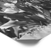 Blütenfalte Poster (Ecke)