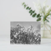 Blütenfalte Postkarte (Stehend Vorderseite)