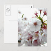 Blütenfeder Postkarte (Vorne/Hinten)