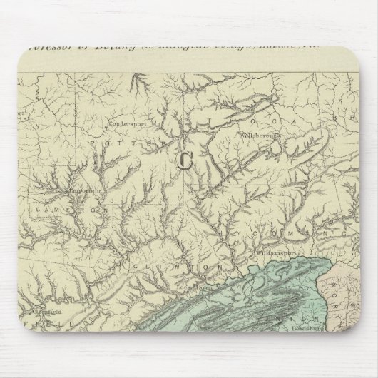 Blütenflora Mousepad (Vorne)