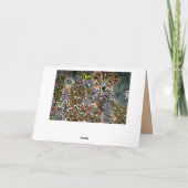 Blütengarten Butterfly Vintage Illustration Karte (Rückseite)