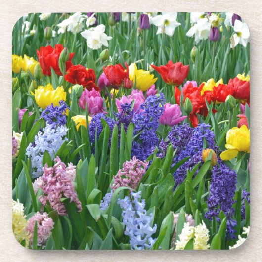 Blütengarten Getränkeuntersetzer (Vorderseite)