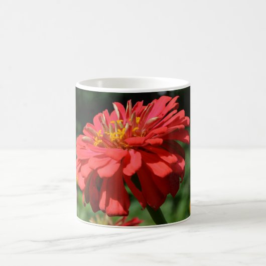 Blütengarten mit rotem Orangenblumen Kaffeetasse (Mittel)