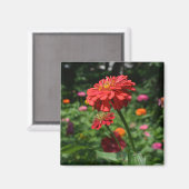 Blütengarten mit rotem Orangenblumen Magnet (Vorderseite/Rückseite)