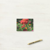 Blütengarten mit rotem Orangenblumen Post-it Klebezettel (Auf Schreibtisch)