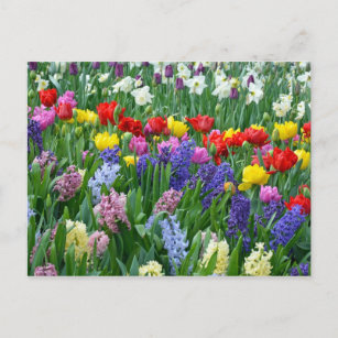 Blütengarten Postkarte