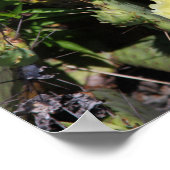 Blütengelbe Kakteen Blüten Poster (Ecke)