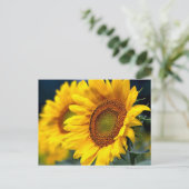 Blütengelbe Sonnenblumen - Hallo, denken Sie an Si Postkarte (Stehend Vorderseite)