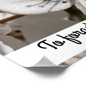 Blütengewächse Foto Familienbaumposter Poster (Ecke)