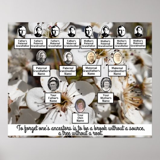 Blütengewächse Foto Familienbaumposter Poster (Vorne)