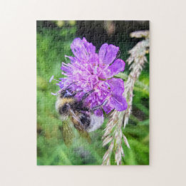 Blütenglück – Naturpuzzle mit Hummel auf Skabiose Puzzle
