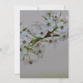 Blütenhochzeit Einladung (Rückseite)