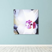 Blütenkanvas, weißer Orchid Leinwanddruck (Insitu (Holzboden))