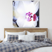 Blütenkanvas, weißer Orchid Leinwanddruck (Insitu (Schlafzimmer))