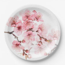 Blütenkirsche Blüten Rosa Weiß