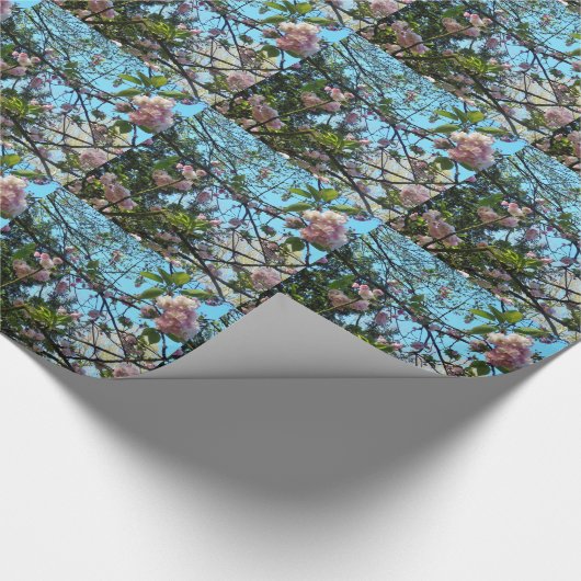 Blütenkirsche, Blütenpracht, Natur, rosa Blume Geschenkpapier (Ecke)