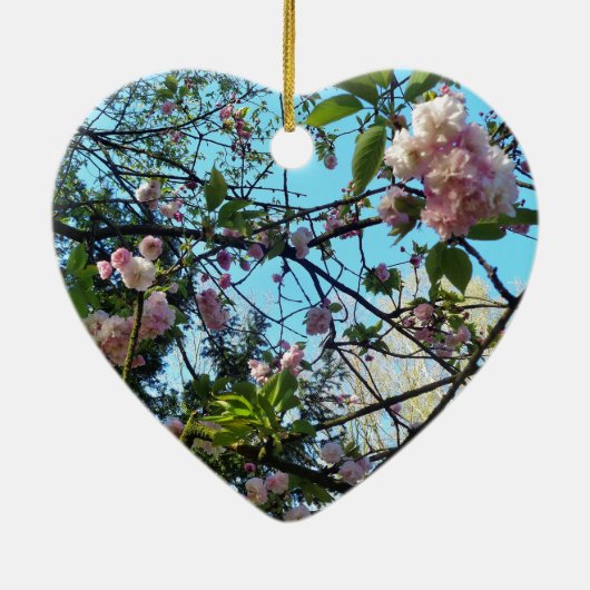 Blütenkirsche, Blütenpracht, Natur, rosa Blume Keramik Ornament (Hinten)