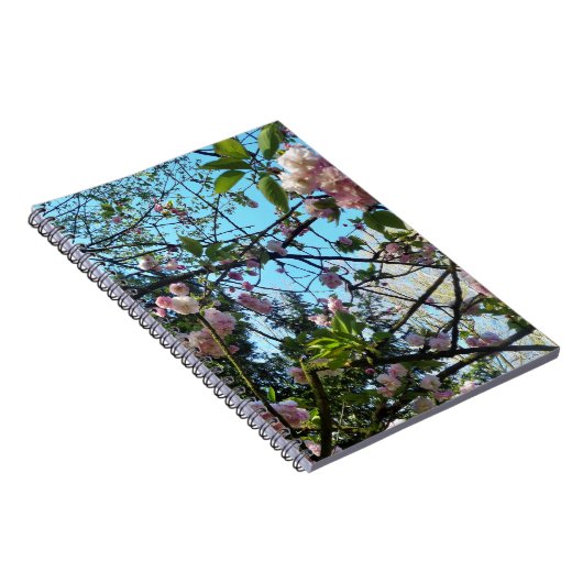 Blütenkirsche, Blütenpracht, Natur, rosa Blume Notizblock (Rechte Seite)