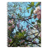 Blütenkirsche, Blütenpracht, Natur, rosa Blume Notizblock (Vorderseite)