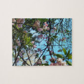 Blütenkirsche, Blütenpracht, Natur, rosa Blume Puzzle (Horizontal)