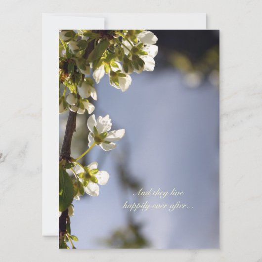 Blütenkirsche im Frühling Einladung (Rückseite)