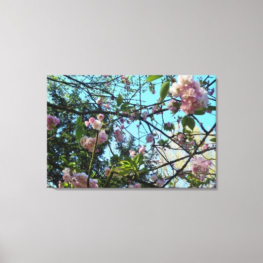 Blütenkirsche, Natur, Baum, Blütenmus, Leinwand (Vorderseite)