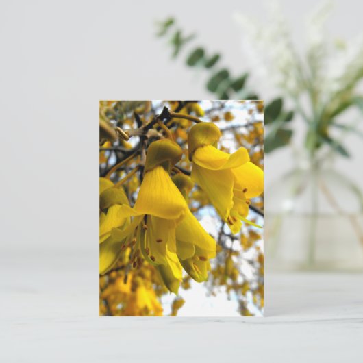 Blütenkowai Tree Postkarte (Stehend Vorderseite)