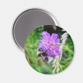 Blütenkraft – Runder Magnet mit Hummelmotiv (Vorderseite/Rückseite)