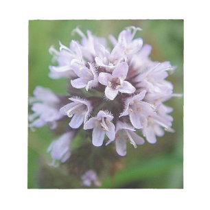 Blütenkugel mit zarten lila Blüten Notizblock