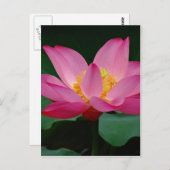 Blütenlilie Postkarte (Vorne/Hinten)