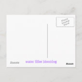 Blütenlilien Postkarte (Rückseite)