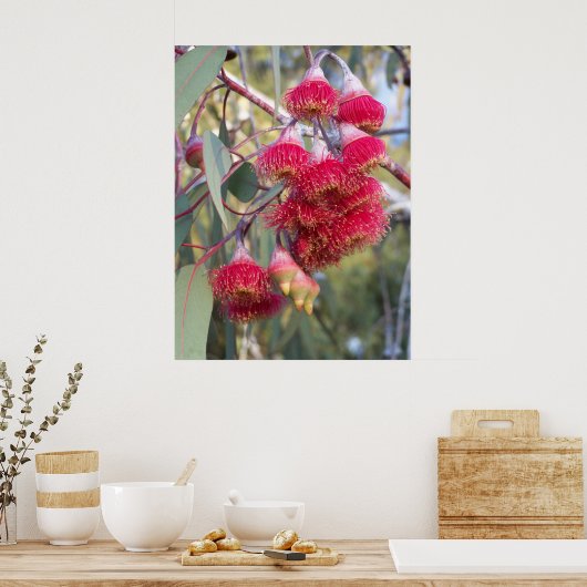 Blütenmasse Poster (Küche)