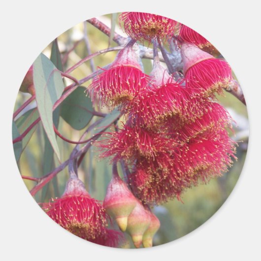 Blütenmasse Runder Aufkleber (Vorderseite)