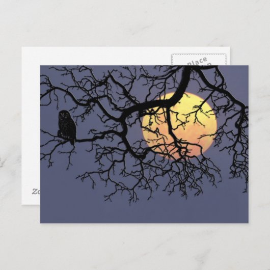 Blütenmond und Nachtschwärmer in der Silhouette Ba Postkarte (Vorne/Hinten)