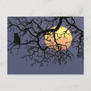 Blütenmond und Nachtschwärmer in der Silhouette Ba Postkarte