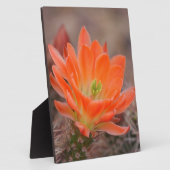 Blütenorange Fotoplatte (Seite)