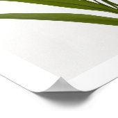 Blütenorange Lilie auf weißem Hintergrund Poster (Ecke)