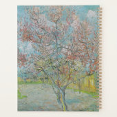 Blütenpfirsichbaum Planer (Rückseite)