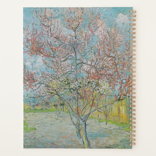 Blütenpfirsichbaum Planer (Rückseite)