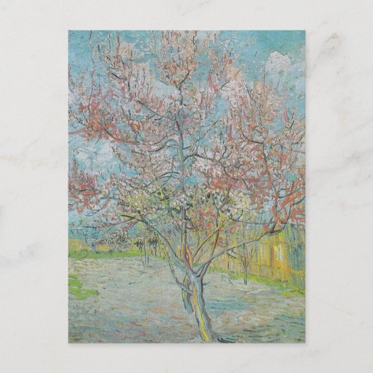 Blütenpfirsichbaum Postkarte (Vorderseite)